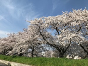 IMG_5757