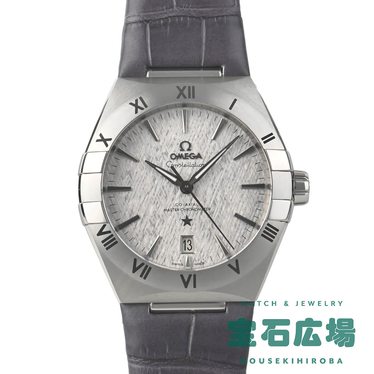 131.13.39.20.06.001 コンステレーション グレー